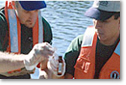 Water-quality information and data.