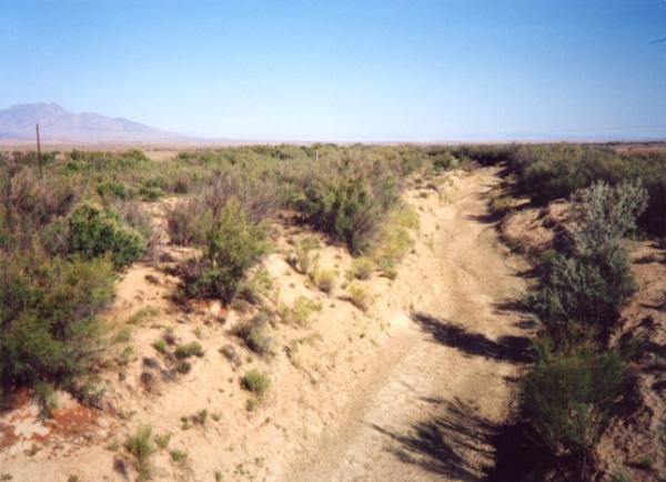 Picture of dry creekbed of the Rio Puerco River, New Mexico.